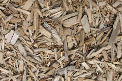 biomass boilers Cartsdyke